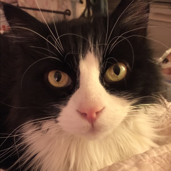 ABOUT ME - Picture 5 of 11